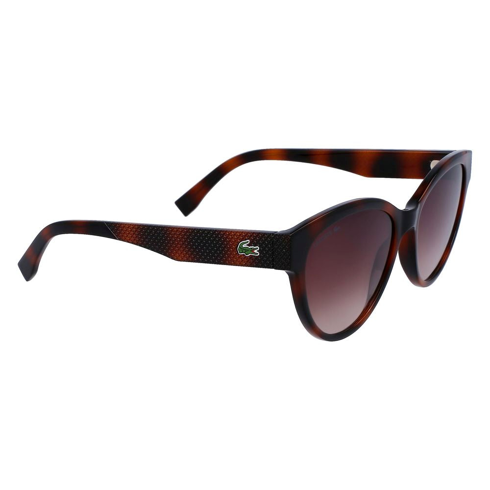 Lacoste Brown Injected Sunglasses